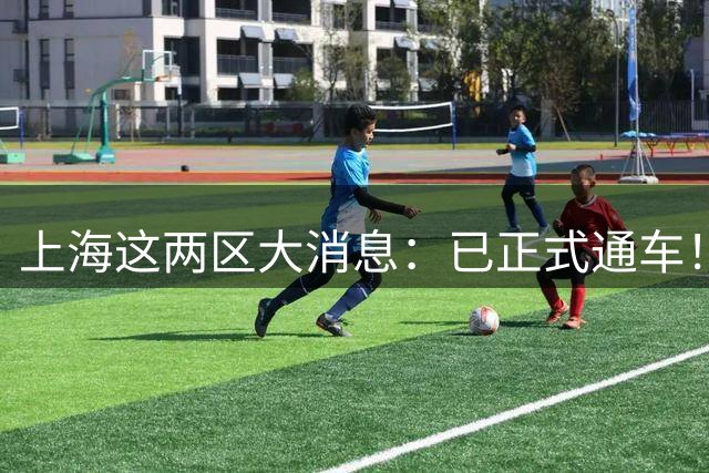 上海这两区大消息：已正式通车！此前隔江相望，如今一脚油门直达对岸